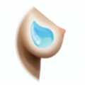 Gel Breast